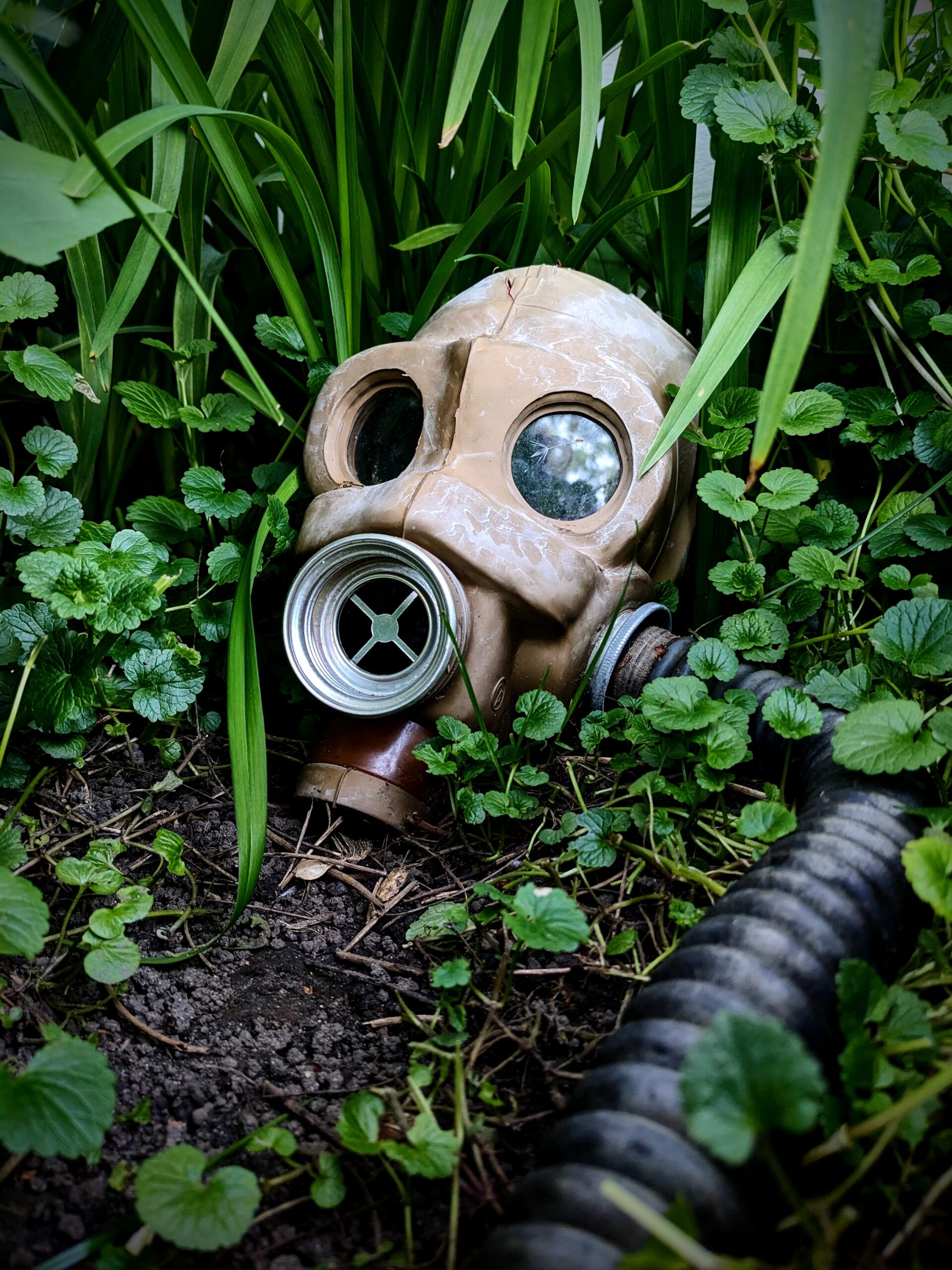 PXL_20250528_002041226~2